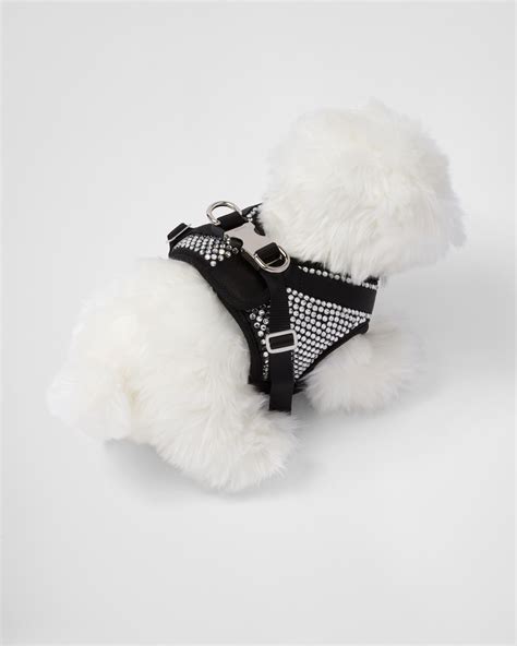 prada puppies|prada pet accessories.